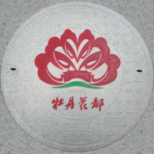 国标井盖
